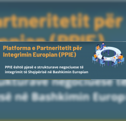 Platforma e Partneritetit p&euml;r Integrimin Europian (PPIE)