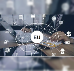 Roli i sektorit privat n&euml; proceset negociuese dhe an&euml;tar&euml;suese t&euml; vendit