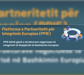 Platforma e Partneritetit p&euml;r Integrimin Europian (PPIE)